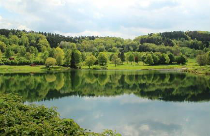 Ferienwohnung am Grölisbach - Eifel - Foto 24