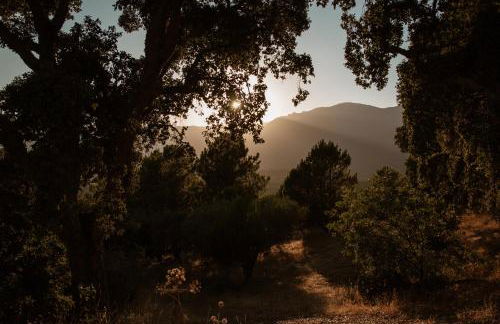 El Retiro de la Adrada AVILA - Foto 55