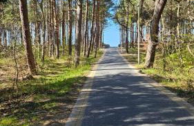 Domki U Sieronia - Foto 30