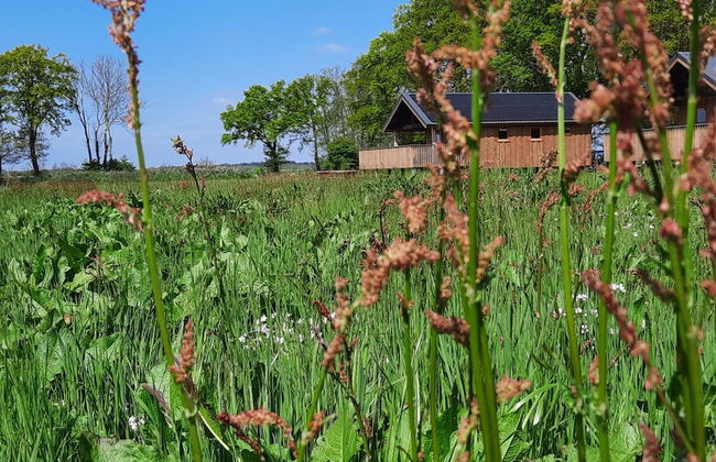 Lodge by Dutch Meadows With Scenic Veranda - Photo 16