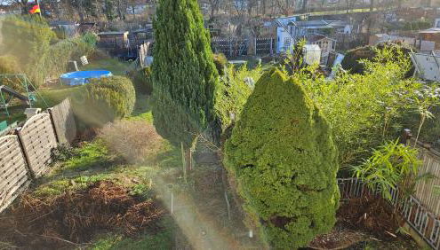 Haus (1. Etage+DG) mit Garten - Foto 4, Garden, Garden view