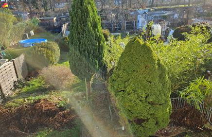 Haus (1. Etage+DG) mit Garten - Foto 4