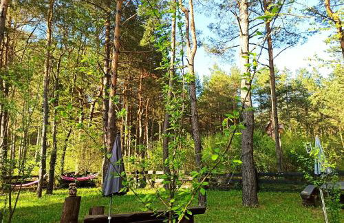 Plitvice Studio Apartments - Foto 54