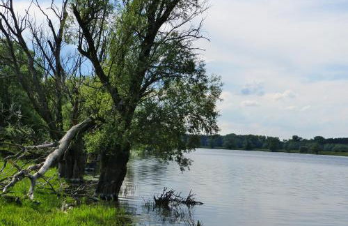 Große Ferienwohnung 85qm - Foto 26