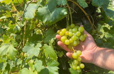 Casa Vacanze Vista Monviso - Photo 27