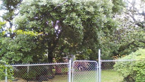 Mid-Century Modern meets Cajun Creole - Foto 3