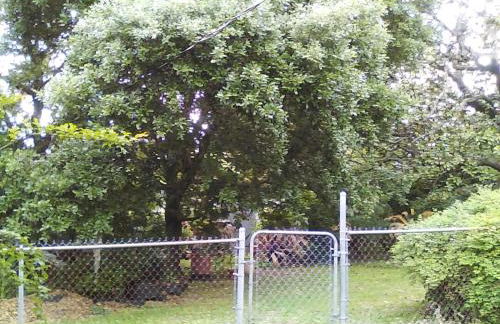 Mid-Century Modern meets Cajun Creole - Foto 3