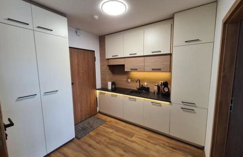 Nautikka Park Krynica Apartamenty Przy Plaży - Foto 14