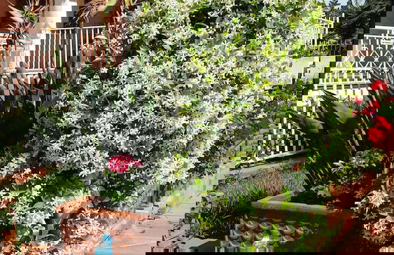 A True Oasis In The City - Foto 9