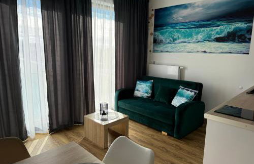 APARTAMENT BLUE II Sarbinowo Parking Basen Sauna - Photo 14