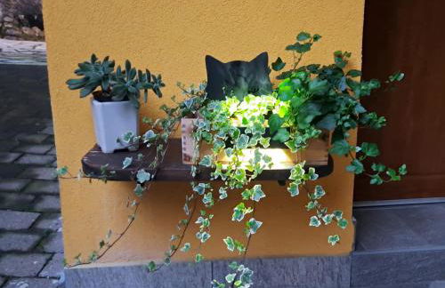 Ermele's Green House - Foto 46