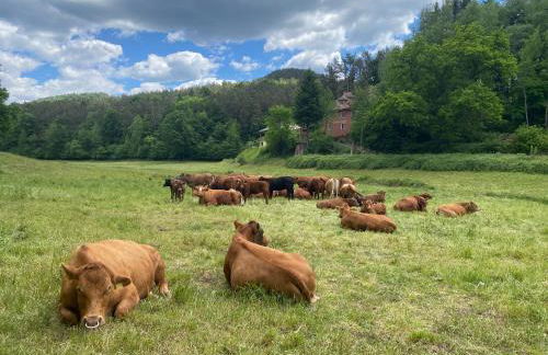 Haus der Behaglichkeit - Foto 30