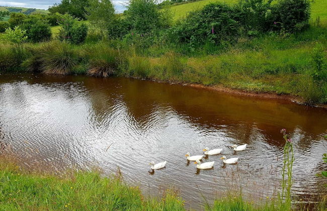 Cozy Cabin Retreat - Sleeps 2 & a Child - Foto 23