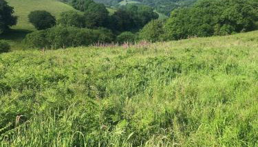 Allercott Farm - Foto 4, Other