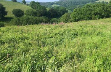 Allercott Farm - Foto 4