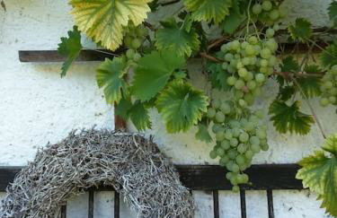 Gruböder Bauernhaus - Foto 31