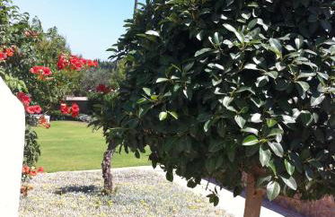 Xenon Estate - Photo 28