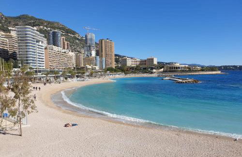 FRONTIÈRE MONACO - Foto 30