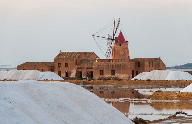 Guided Tour of Marsala Salt Pans - Photo 8