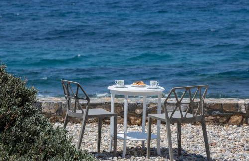 Ascuri Studio - Foto 2