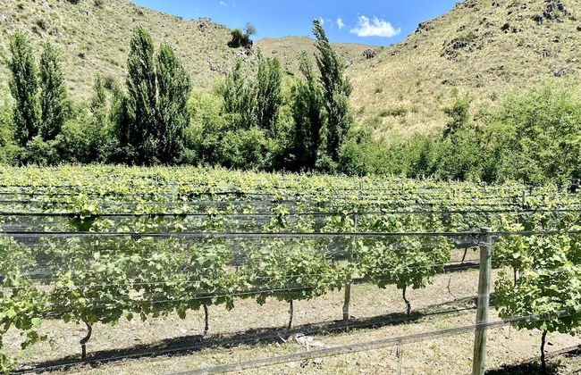 Estancia Grande - Foto 31