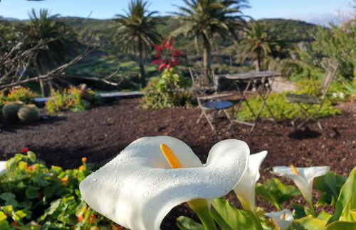 Casa Tara Ruhe und Entspannung, Natur pur - Foto 23