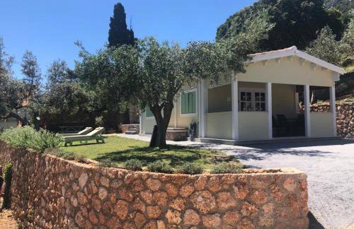 Villa lito - Photo 79