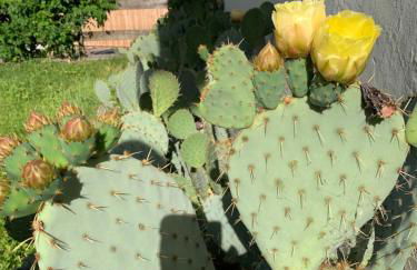 Moar am Ort - Foto 15