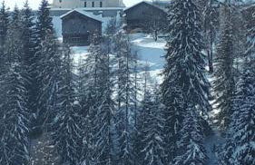 Cesa de Conesel - Foto 35