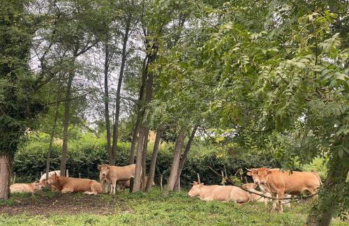 BILBO Near ático rural con terraza - Foto 44