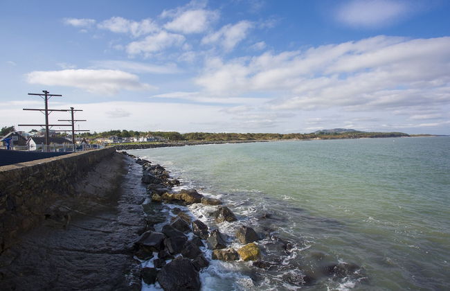 Forest Park HH No 4 - Foto 17