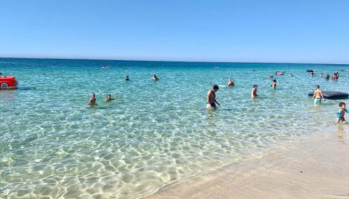 Il Fenicottero - Foto 4