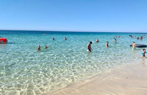 Il Fenicottero - Foto 4