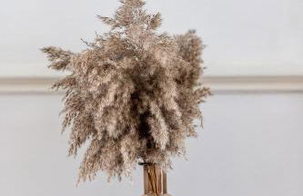 Wivelsfield Retreat- Modern & Spacious Home - Foto 26