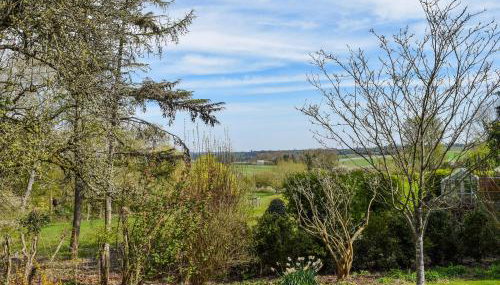 The Courtyard - Photo 2