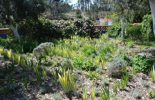 Charming Garden Retreat in Pedrogao Grande - Foto 34