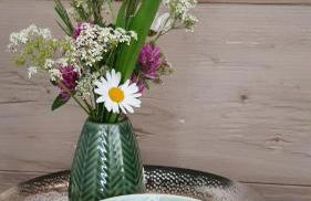 Alb - Lotte - Foto 13