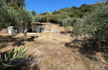 Villa Helga by the Sea - Photo 11