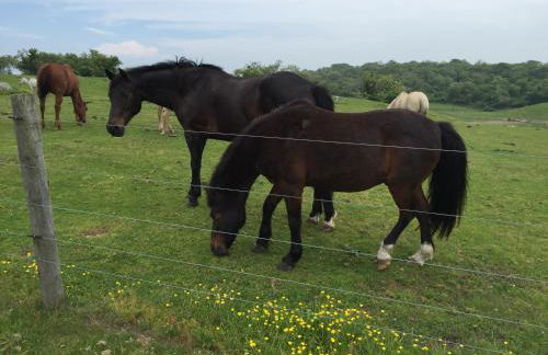 Apartment in Royal Atlantic Beach Resort - Foto 30