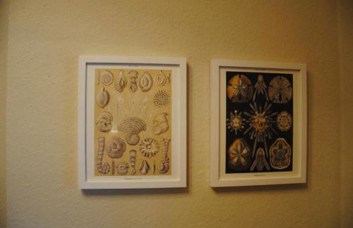 Inselresidenz Wattenmeer - Wohnung 7 - Foto 36