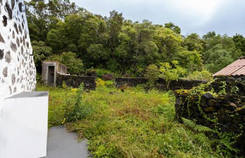 Casa da Mãe - Entre o Pico e a Maré - Photo 54