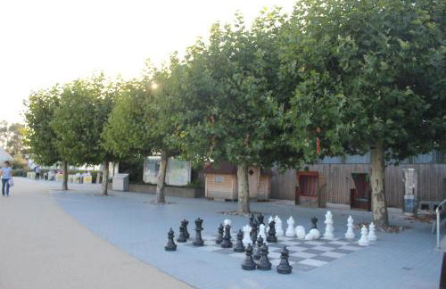 Silbermöwe im Kirschgarten - Foto 30