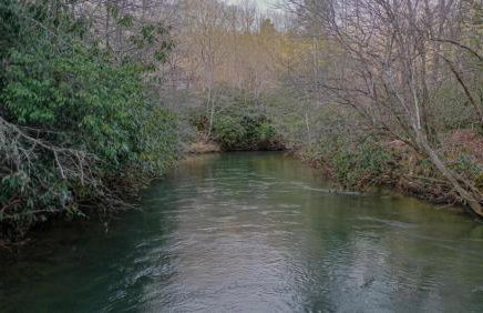 Fighting Creek Cabin - Foto 34