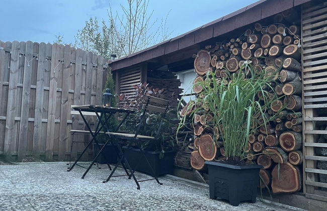 Cozy Furnished Basement Apartment - Photo 18