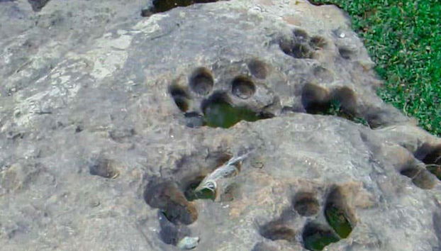 Atillo Lagons Day Trip - Foto 3