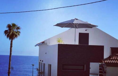 Lazy Lizard Studio - Foto 49