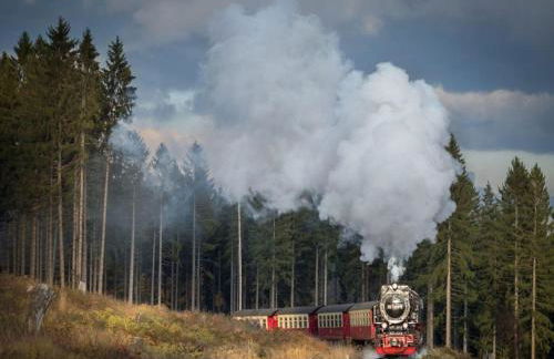 Appartementhaus Der Krauterhof in Drei Annen Hohne - Foto 31
