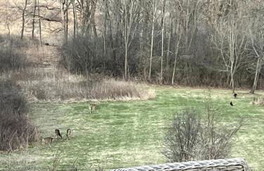 Secluded Luxury Retreat: 15 Acres, Views, Hot Tub - Foto 20