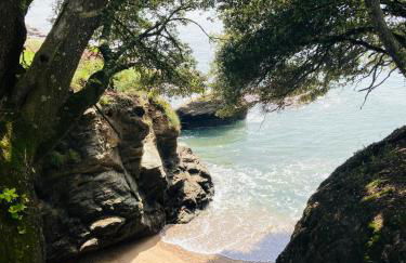 Le Clos de Jade - Appt 3 étoiles avec piscine partagée - Foto 13