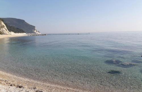 Verde Marche - Foto 36